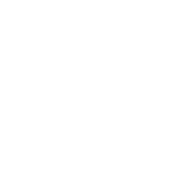 Recraft V4.1 Vector